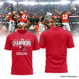 Indiana Hoosiers 2025 Big Ten Champions Red Hoodie
